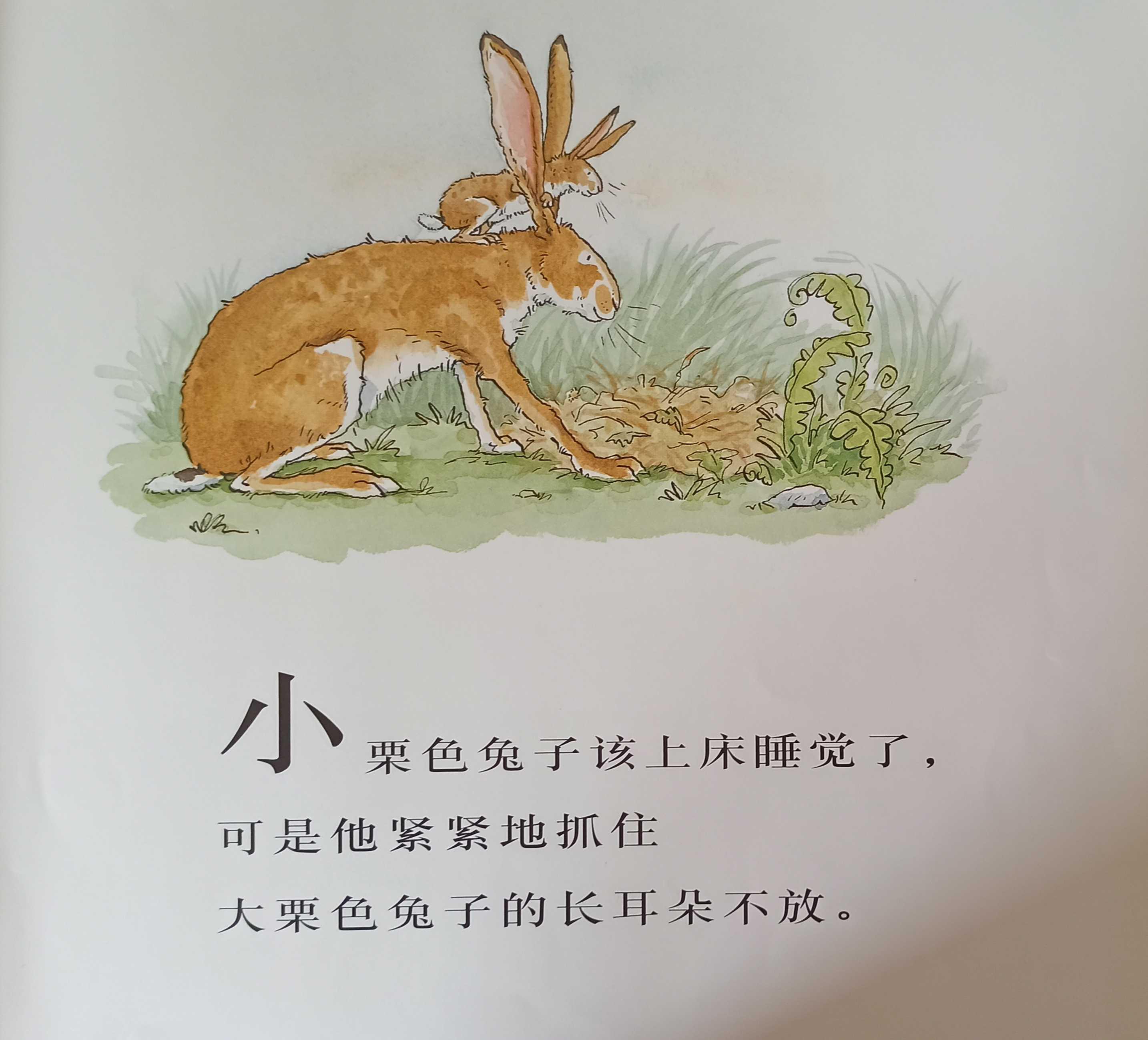 我的亲子共读故事(亲子共读绘本分享) 我的亲子共读故事(亲子共读绘本分享)