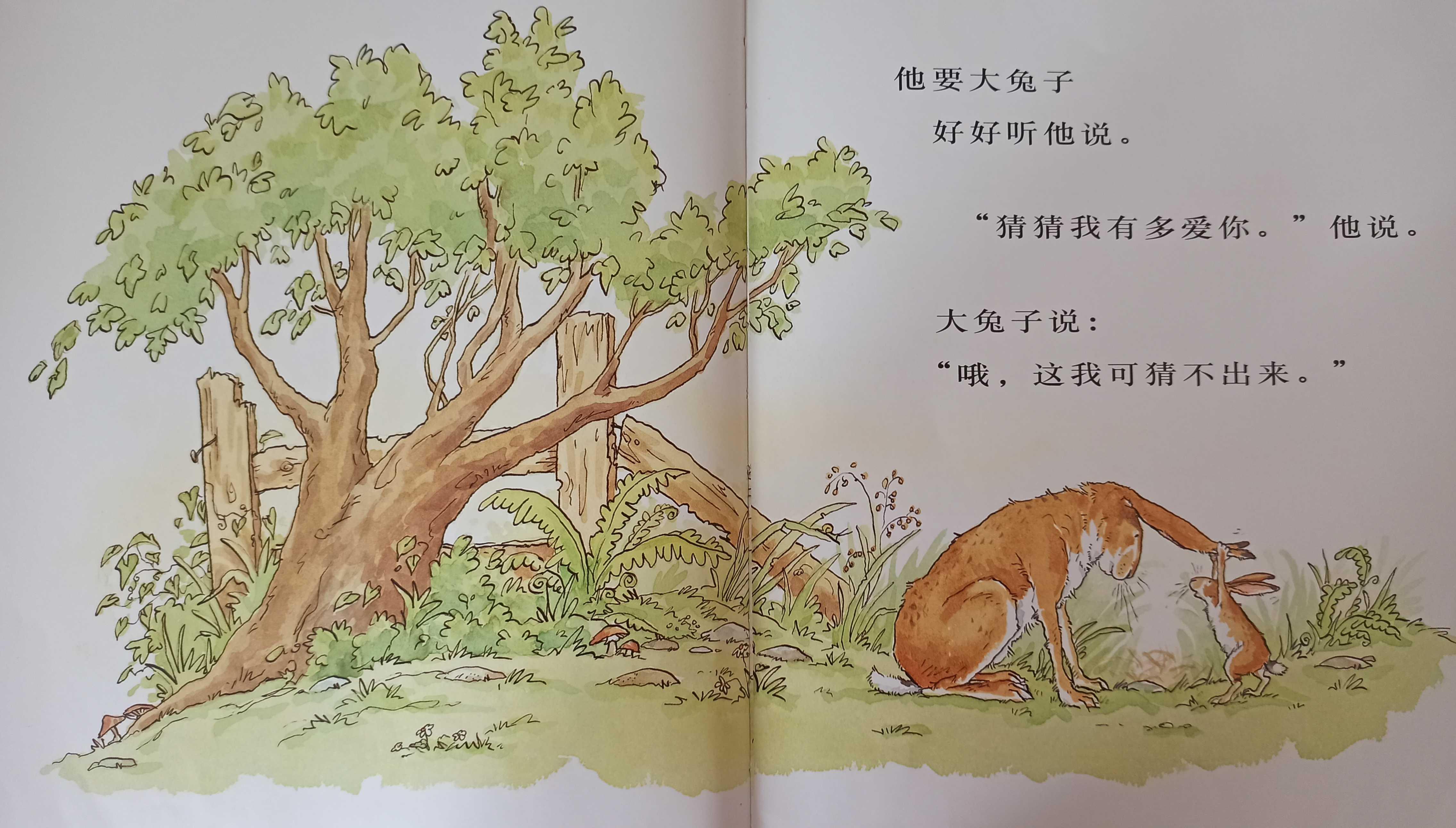 我的亲子共读故事(亲子共读绘本分享) 我的亲子共读故事(亲子共读绘本分享)