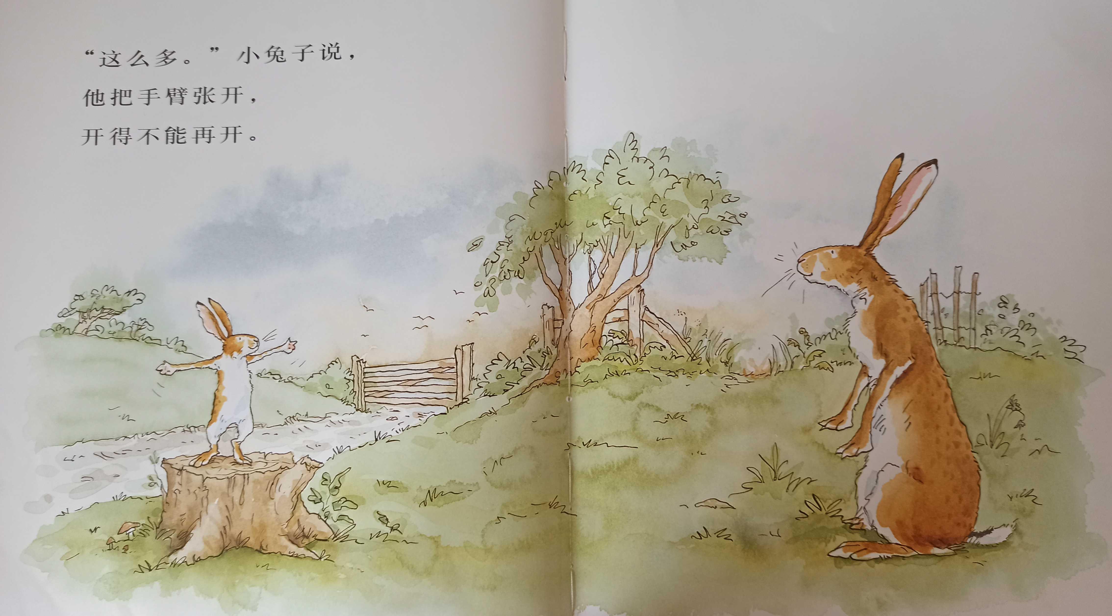 我的亲子共读故事(亲子共读绘本分享) 我的亲子共读故事(亲子共读绘本分享)