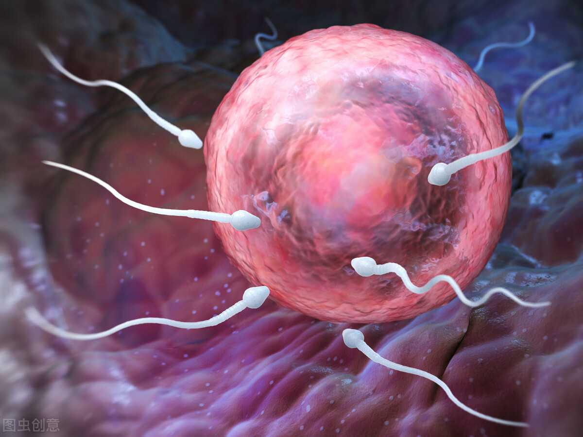 健康备孕注意事项(想要健康的宝宝怀孕前该怎么做) 健康备孕注意事项(想要健康的宝宝怀孕前该怎么做)