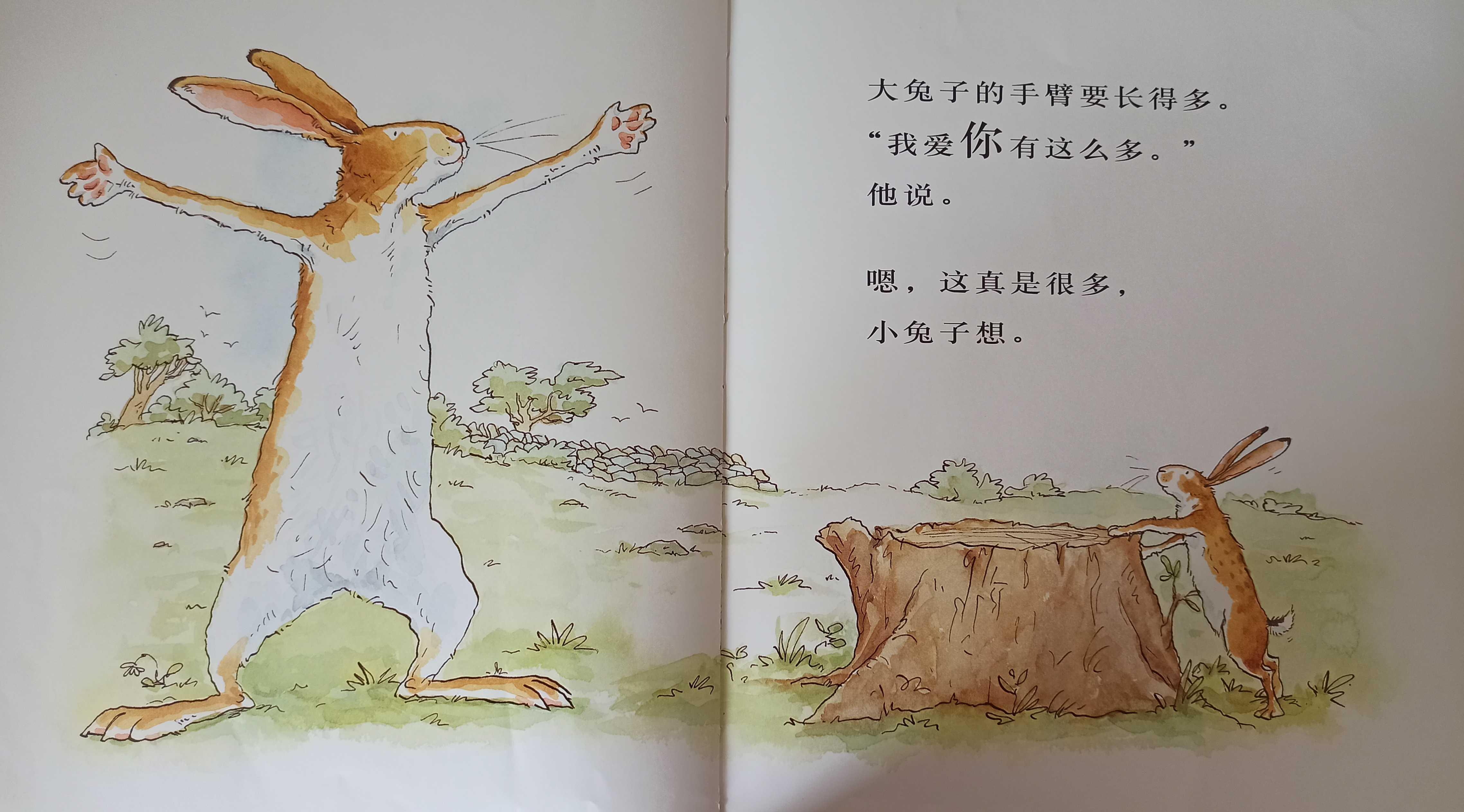 我的亲子共读故事(亲子共读绘本分享) 我的亲子共读故事(亲子共读绘本分享)