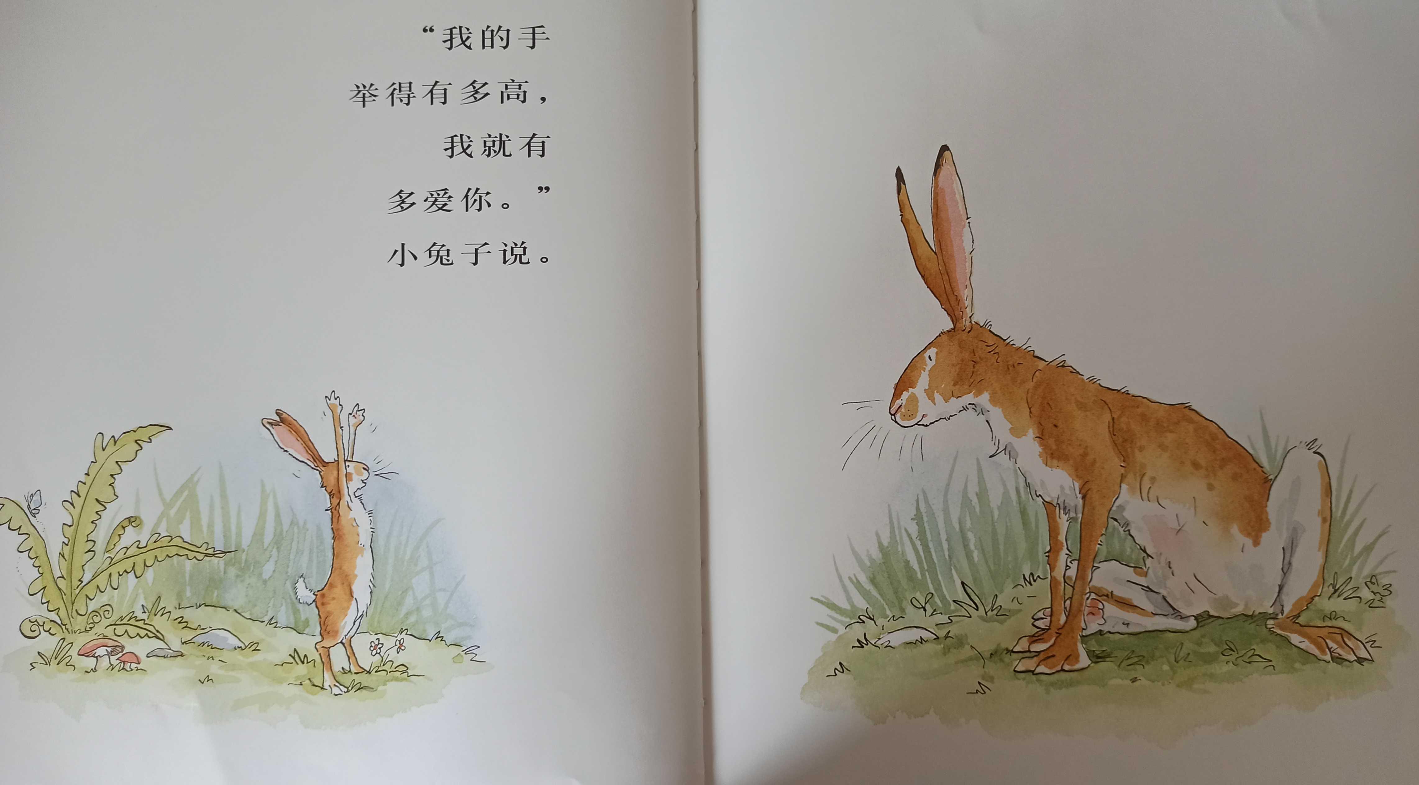 我的亲子共读故事(亲子共读绘本分享) 我的亲子共读故事(亲子共读绘本分享)