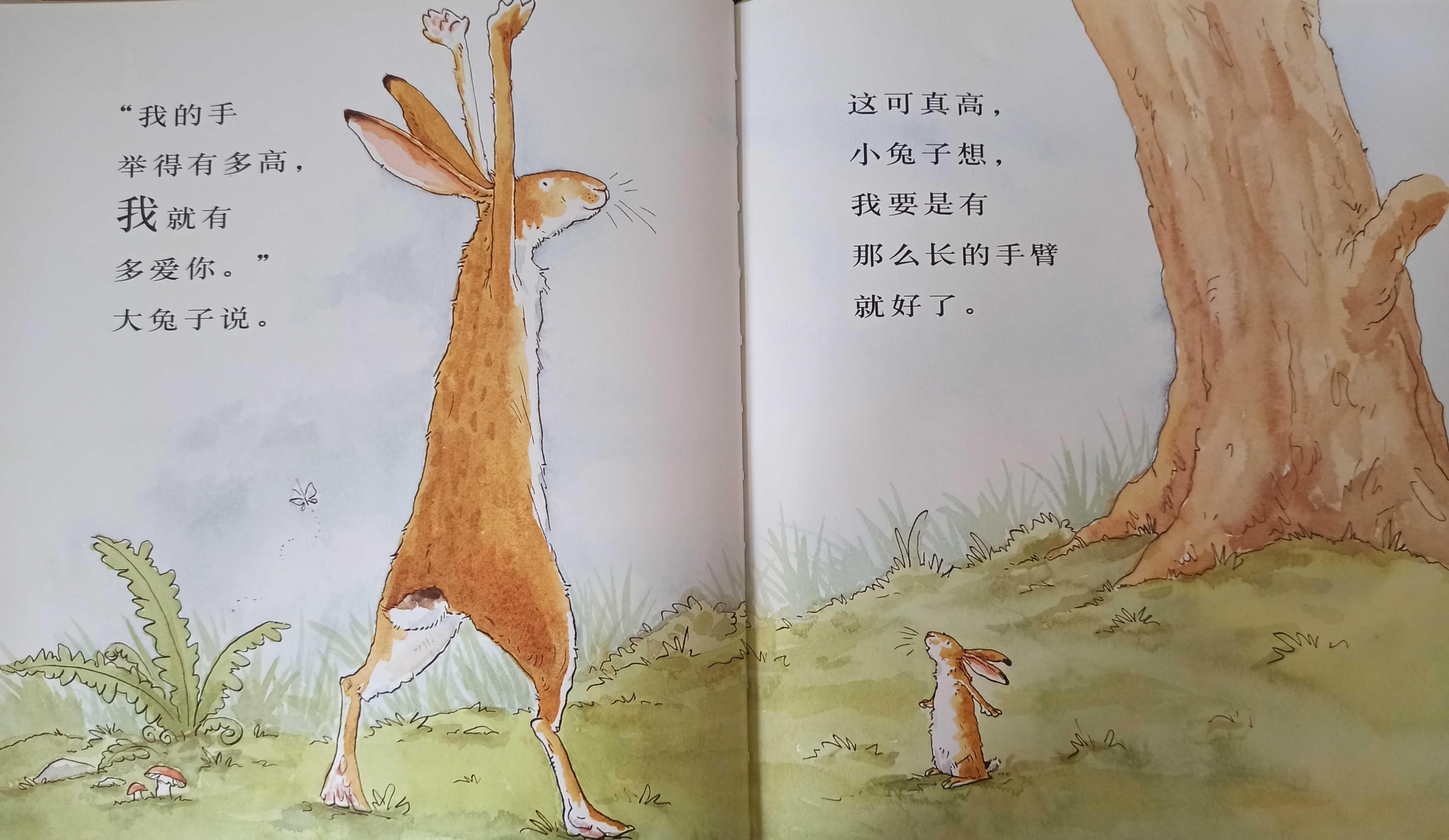 我的亲子共读故事(亲子共读绘本分享) 我的亲子共读故事(亲子共读绘本分享)
