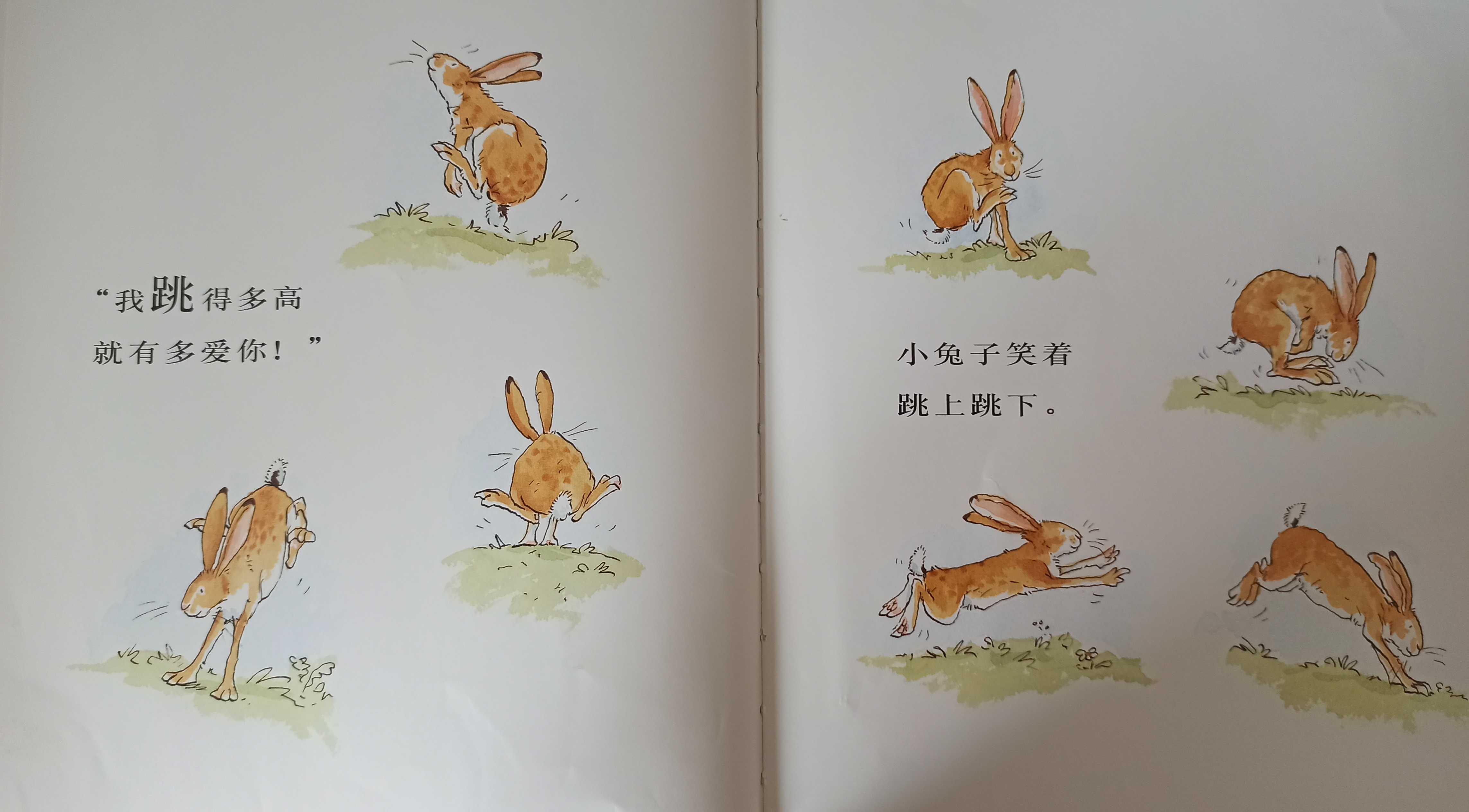 我的亲子共读故事(亲子共读绘本分享) 我的亲子共读故事(亲子共读绘本分享)