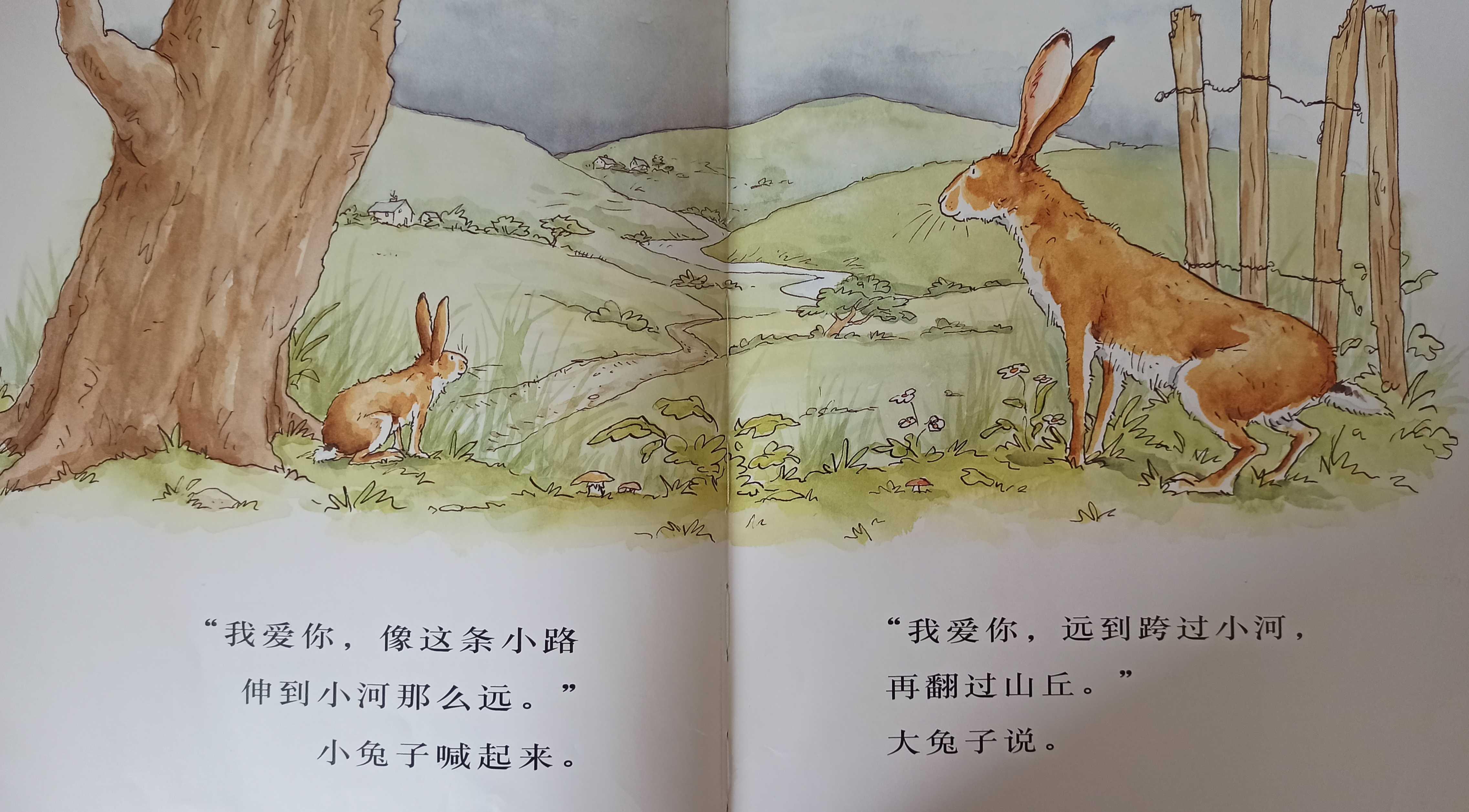 我的亲子共读故事(亲子共读绘本分享) 我的亲子共读故事(亲子共读绘本分享)