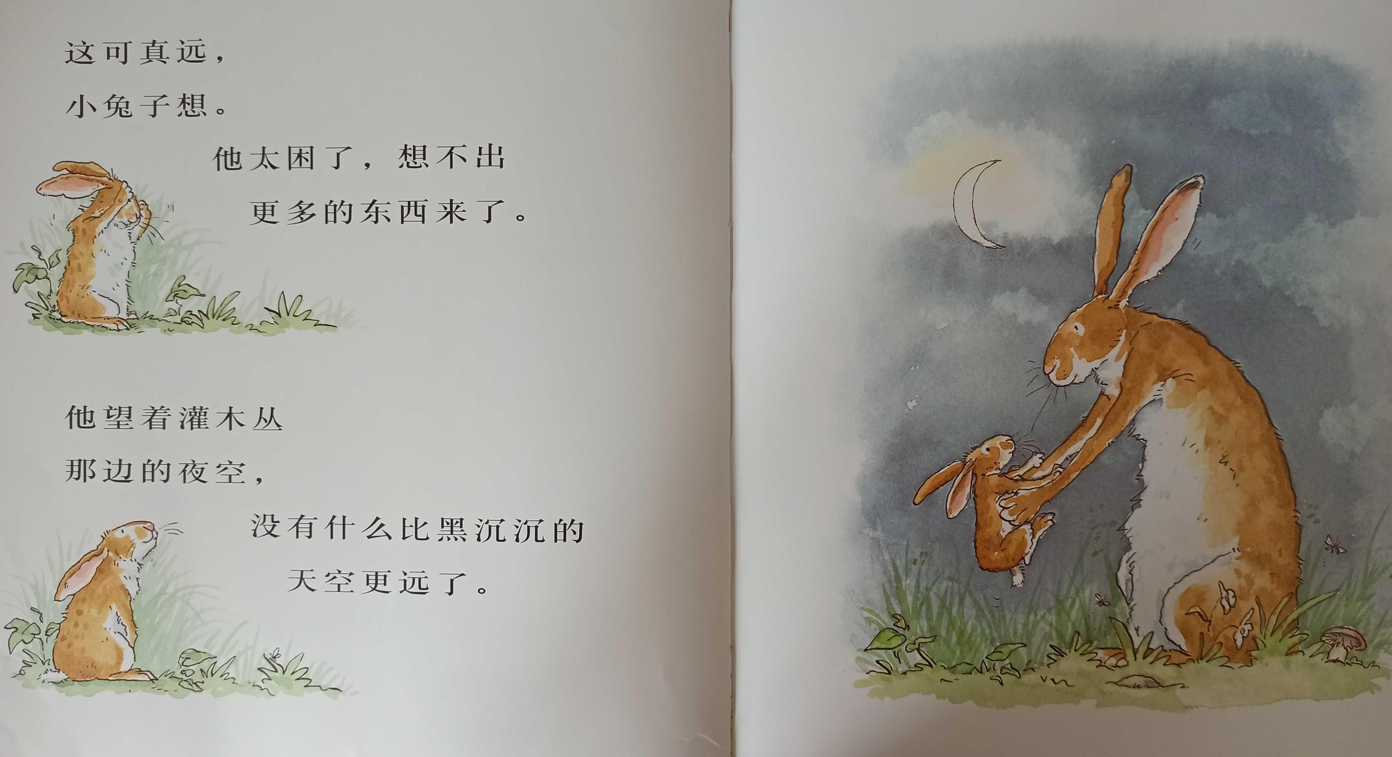 我的亲子共读故事(亲子共读绘本分享) 我的亲子共读故事(亲子共读绘本分享)