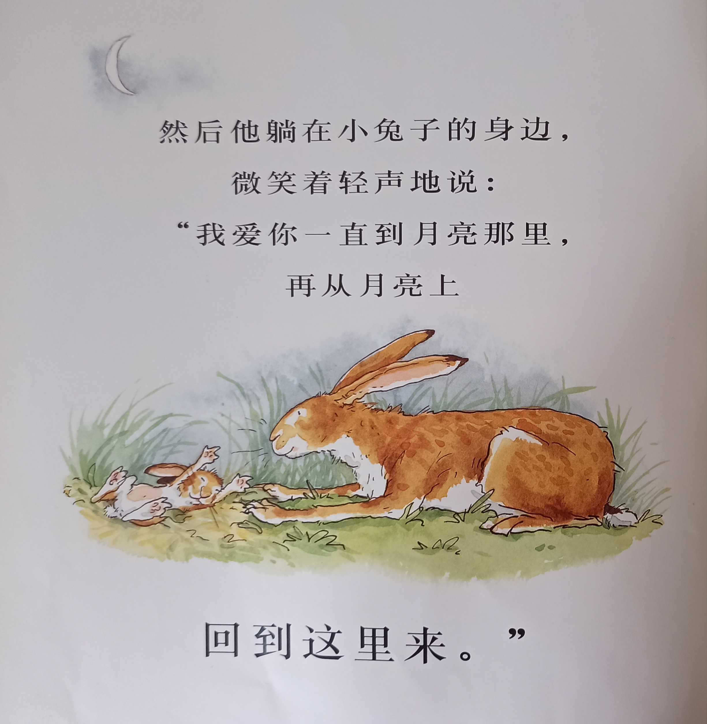 我的亲子共读故事(亲子共读绘本分享) 我的亲子共读故事(亲子共读绘本分享)