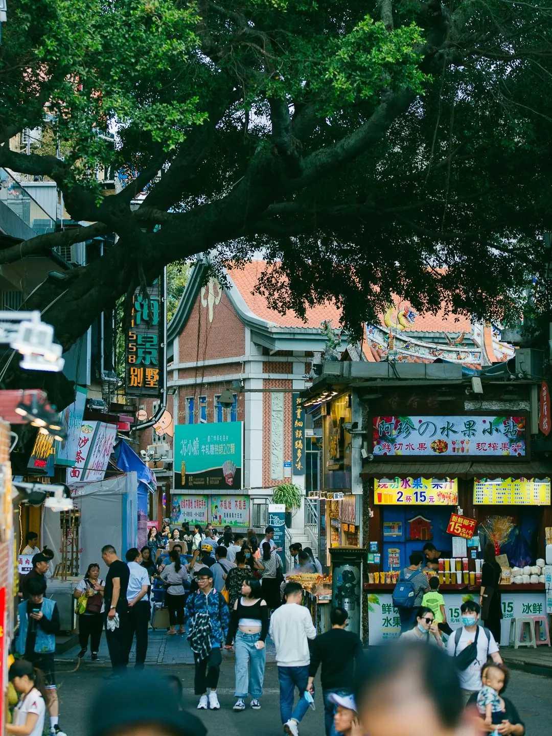 厦门亲子游攻略(厦门亲子游几个必去的地方) 厦门亲子游攻略(厦门亲子游几个必去的地方)