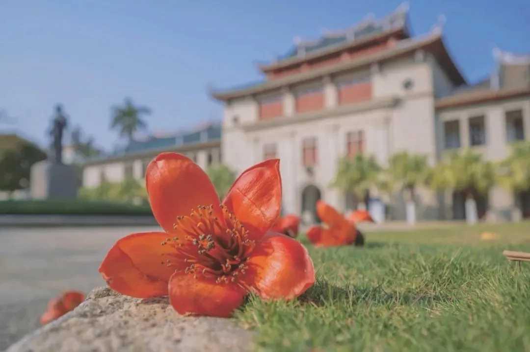 厦门亲子游攻略(厦门亲子游几个必去的地方) 厦门亲子游攻略(厦门亲子游几个必去的地方)
