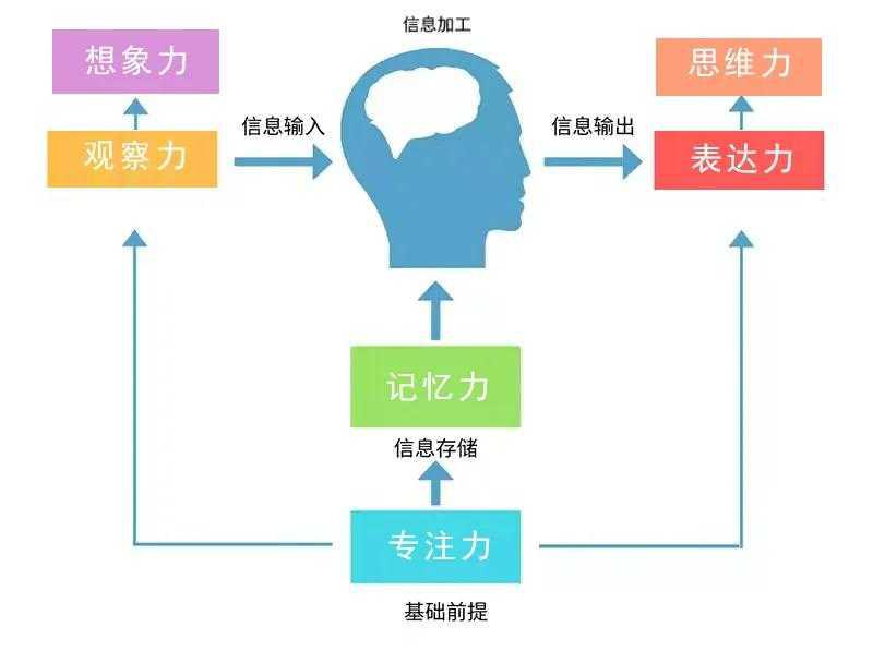 亲子游戏玩法(20个培养专注力的亲子游戏) 亲子游戏玩法(20个培养专注力的亲子游戏)