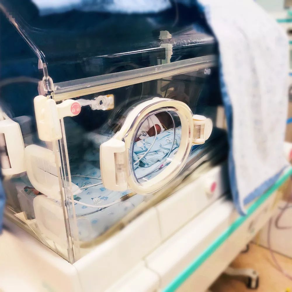 新生儿湿肺(孕期毕业必修课新生儿湿肺) 新生儿湿肺(孕期毕业必修课新生儿湿肺)