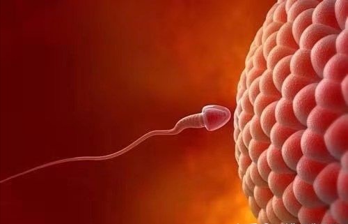 备孕男宝宝(科学备孕男宝宝成功经验分享) 备孕男宝宝(科学备孕男宝宝成功经验分享)