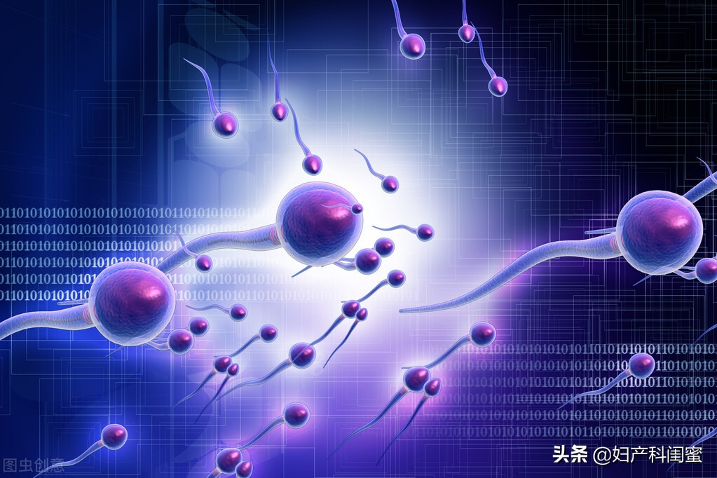 为什么要备孕(夫妻双方为什么需要3-6个月备孕) 为什么要备孕(夫妻双方为什么需要3-6个月备孕)