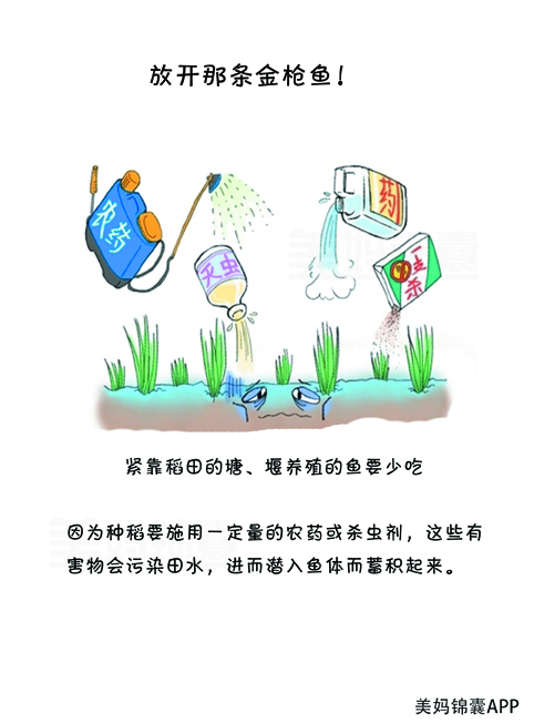 备孕喝苏打水(多喝苏打水容易生男孩吗) 备孕喝苏打水(多喝苏打水容易生男孩吗)