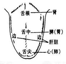 新生儿舌苔(教你学会看孩子舌苔) 新生儿舌苔(教你学会看孩子舌苔)