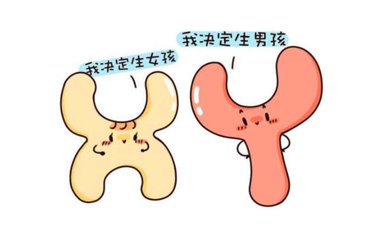 备孕碱性食物(多吃碱性食物可以生男孩吗) 备孕碱性食物(多吃碱性食物可以生男孩吗)
