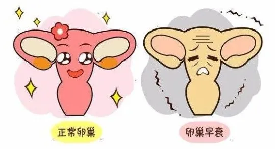 备孕能熬夜吗(长期熬夜该如何备孕) 备孕能熬夜吗(长期熬夜该如何备孕)