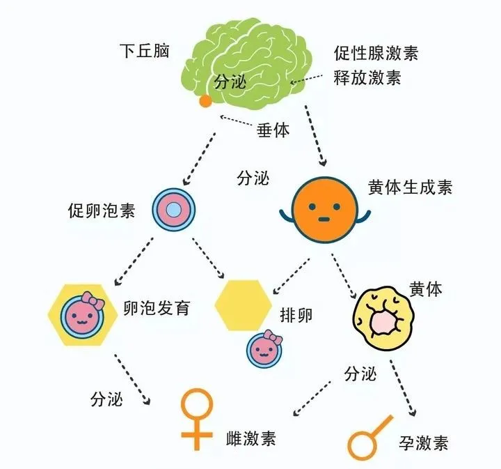 备孕能熬夜吗(长期熬夜该如何备孕) 备孕能熬夜吗(长期熬夜该如何备孕)