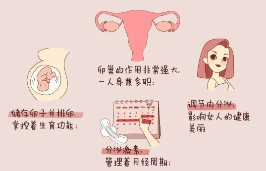 备孕能熬夜吗(长期熬夜该如何备孕) 备孕能熬夜吗(长期熬夜该如何备孕)