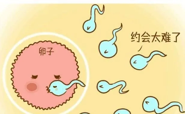 备孕能熬夜吗(长期熬夜该如何备孕) 备孕能熬夜吗(长期熬夜该如何备孕)