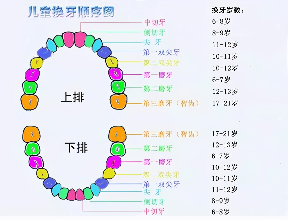 幼儿换牙(幼儿换牙的几个时期) 幼儿换牙(幼儿换牙的几个时期)