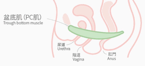 产后阴壁膨出(产后阴壁膨出是什么怎么治疗) 产后阴壁膨出(产后阴壁膨出是什么怎么治疗)