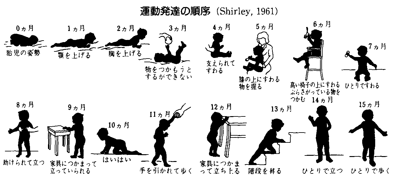 新生儿早教(新生儿早教攻略) 新生儿早教(新生儿早教攻略)