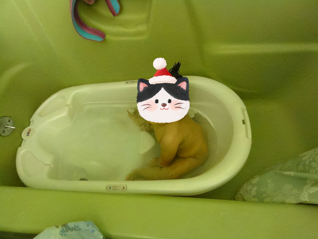 新生儿沐浴(新生儿洗澡需要注意哪些问题) 新生儿沐浴(新生儿洗澡需要注意哪些问题)