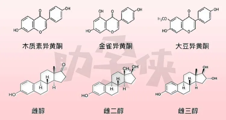备孕喝什么豆浆最好(备孕男孩喝什么豆浆) 备孕喝什么豆浆最好(备孕男孩喝什么豆浆)