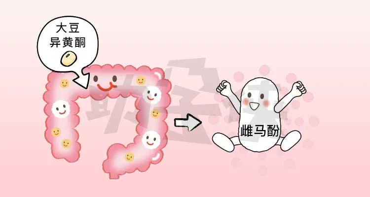 备孕喝什么豆浆最好(备孕男孩喝什么豆浆) 备孕喝什么豆浆最好(备孕男孩喝什么豆浆)