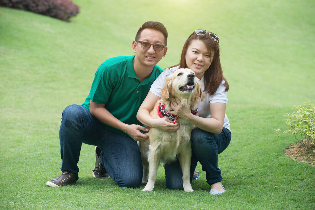 备孕可以养狗吗(备孕可以养狗吗) 备孕可以养狗吗(备孕可以养狗吗)