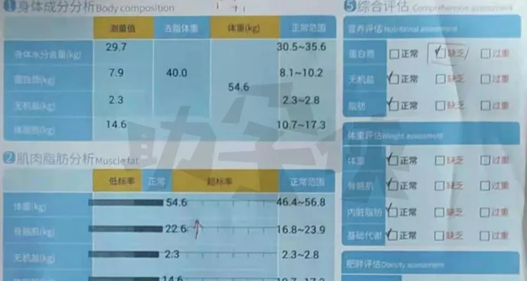 备孕黑豆浆(备孕黑豆浆还是黄豆浆) 备孕黑豆浆(备孕黑豆浆还是黄豆浆)