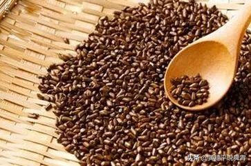 孕妇能喝决明子茶吗(孕妇晚期可以喝决明子茶吗) 孕妇能喝决明子茶吗(孕妇晚期可以喝决明子茶吗)