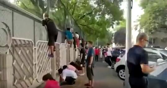 我上幼儿园(我上幼儿园简谱) 我上幼儿园(我上幼儿园简谱)