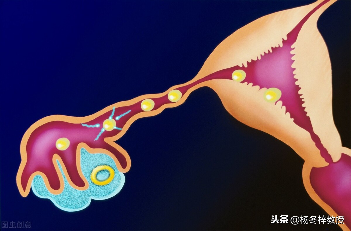 备孕可以坐飞机吗(备孕同房后十天可以坐飞机吗) 备孕可以坐飞机吗(备孕同房后十天可以坐飞机吗)