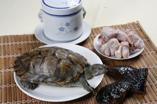 备孕可以吃黄芪吗(备孕可以吃黄芪吗) 备孕可以吃黄芪吗(备孕可以吃黄芪吗)