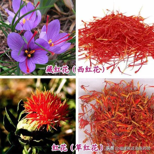 孕妇可以喝藏红花吗(孕妇可以喝藏红花吗的功效与禁忌) 孕妇可以喝藏红花吗(孕妇可以喝藏红花吗的功效与禁忌)