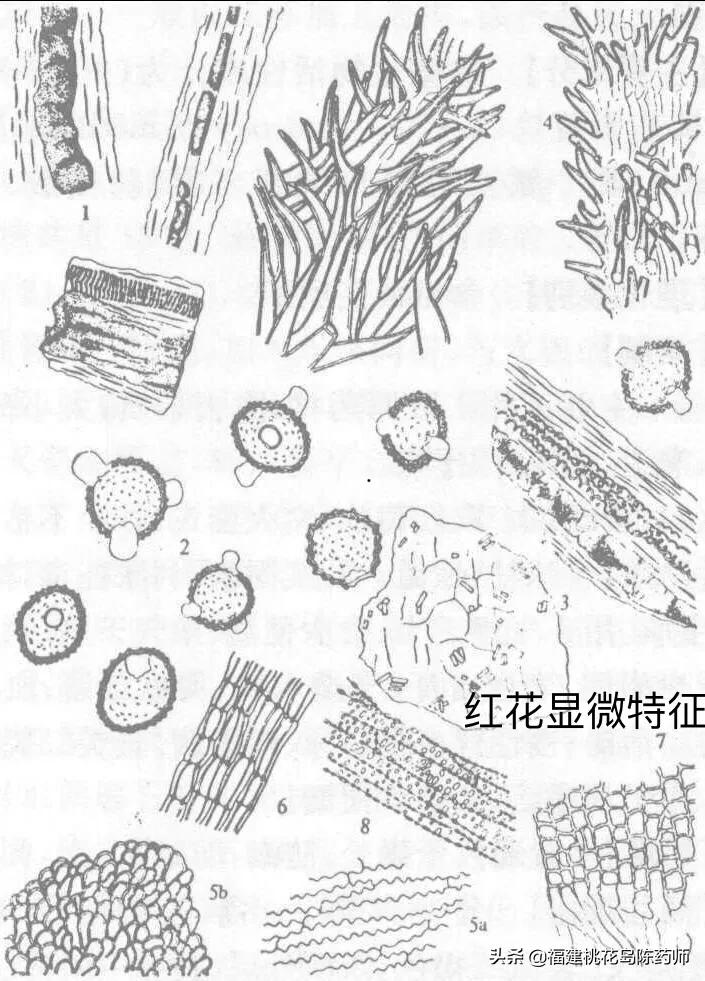 孕妇可以喝藏红花吗(孕妇可以喝藏红花吗的功效与禁忌) 孕妇可以喝藏红花吗(孕妇可以喝藏红花吗的功效与禁忌)