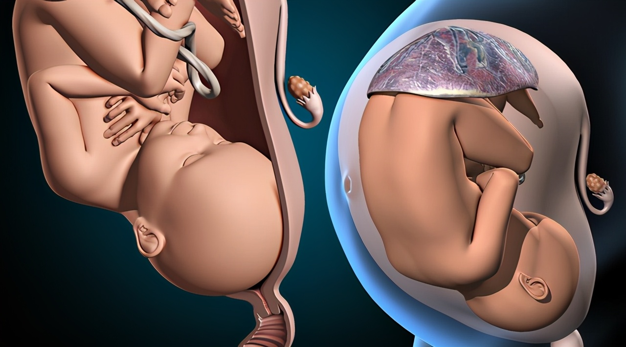 孕妇吸氧(孕妇吸氧对胎儿有什么好处)