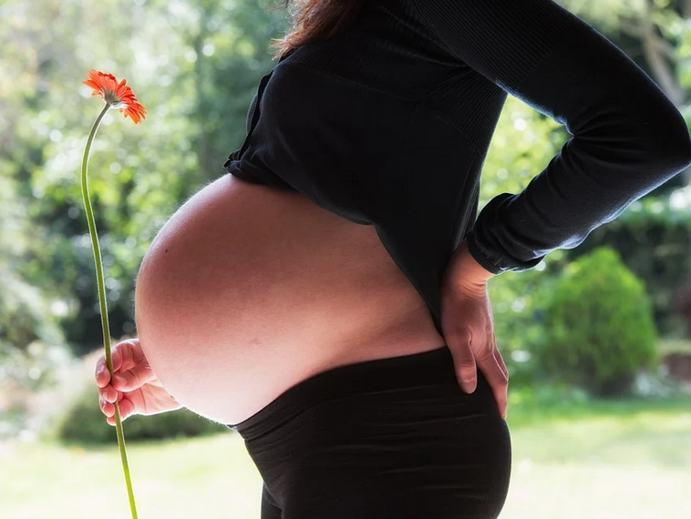 孕妇吃鹅蛋几天吃一个(孕妇吃鹅蛋几天吃一个最好) 孕妇吃鹅蛋几天吃一个(孕妇吃鹅蛋几天吃一个最好)