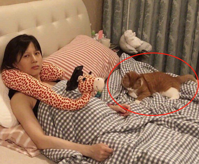 孕妇吃鹅蛋几天吃一个(孕妇吃鹅蛋几天吃一个最好) 孕妇吃鹅蛋几天吃一个(孕妇吃鹅蛋几天吃一个最好)